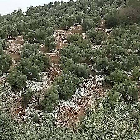 El Almendro De La Tia Teresa Villa Prados de Armijo Exterior foto