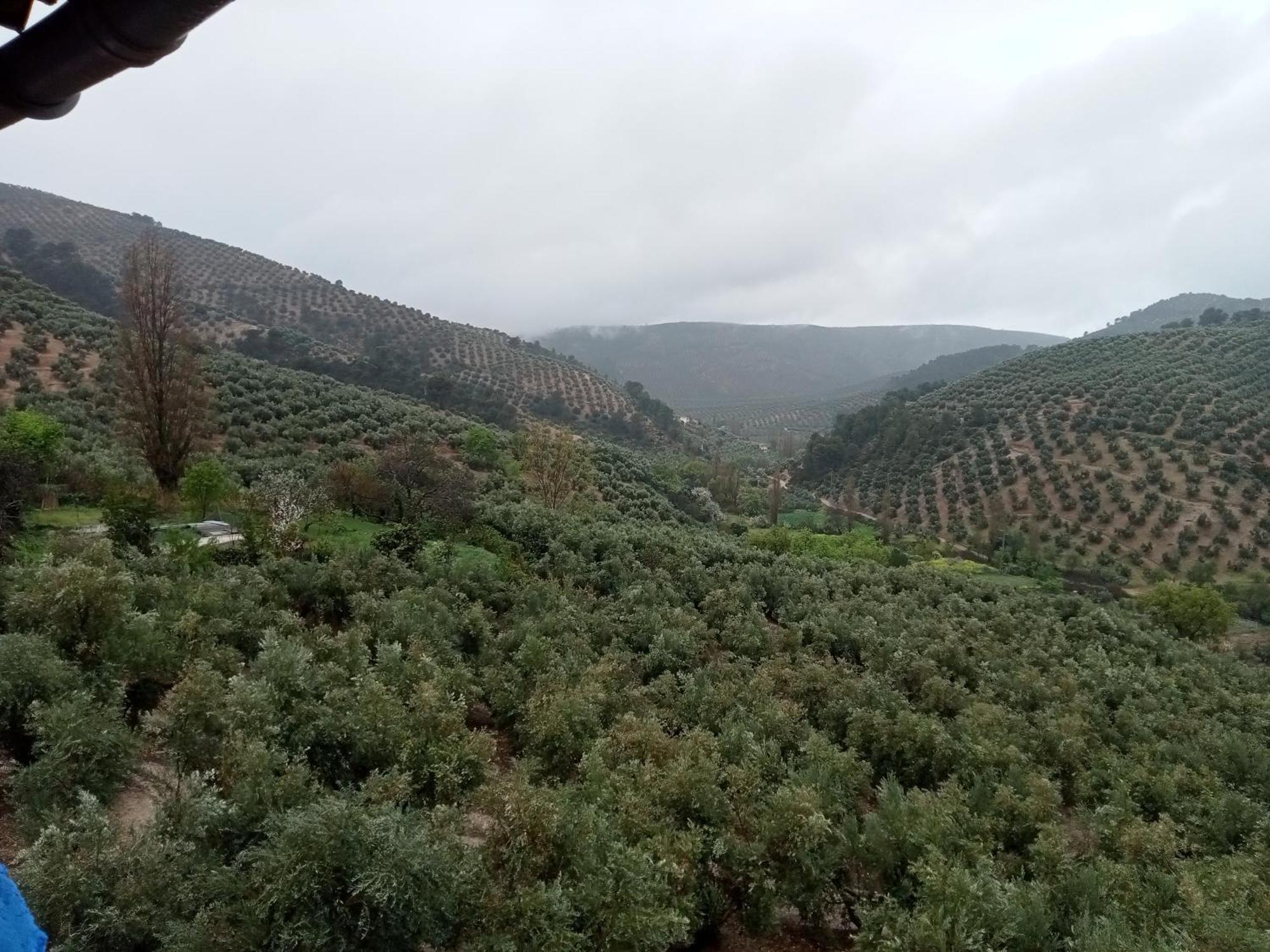 El Almendro De La Tia Teresa Villa Prados de Armijo Habitación foto