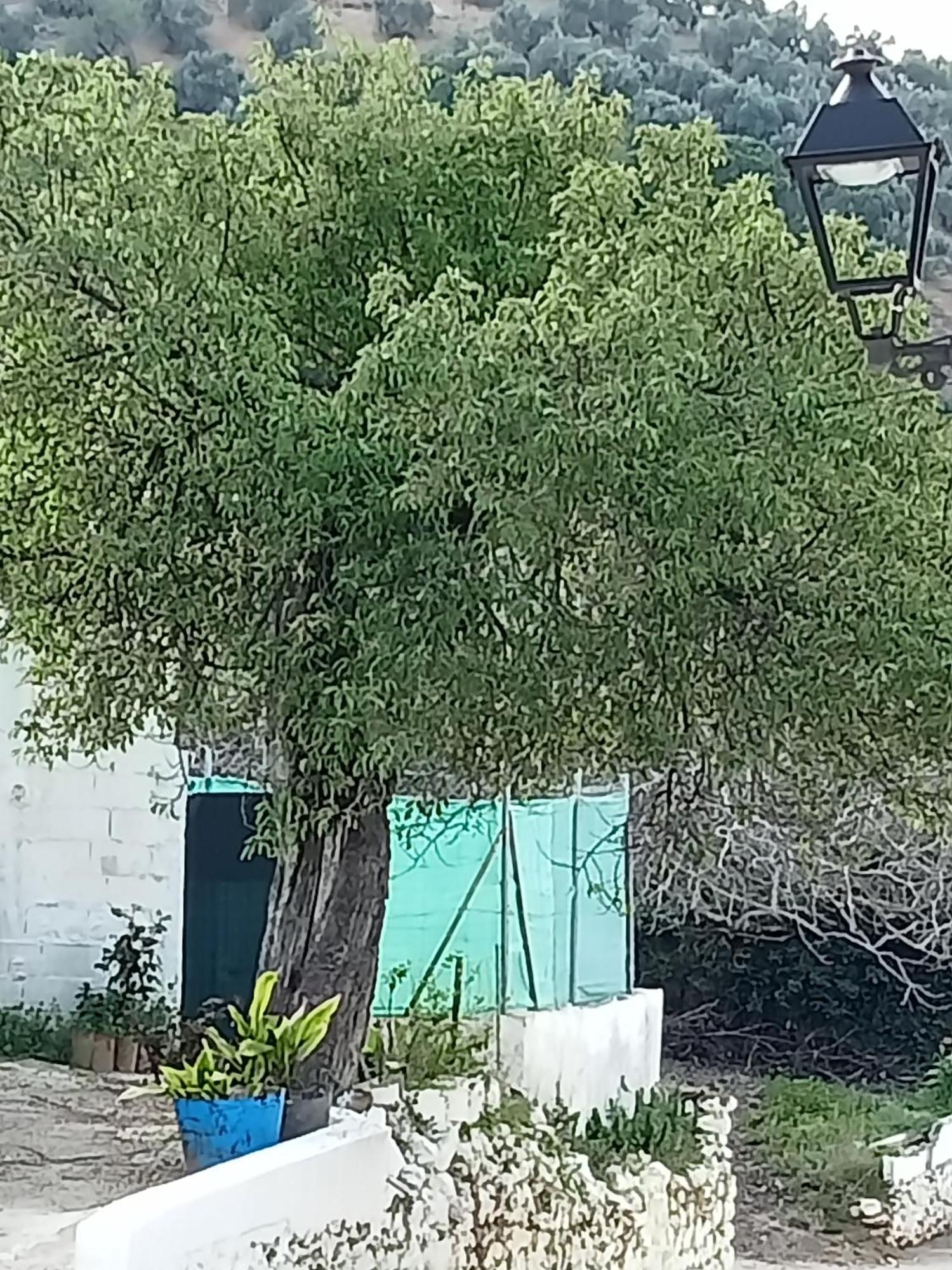 El Almendro De La Tia Teresa Villa Prados de Armijo Habitación foto